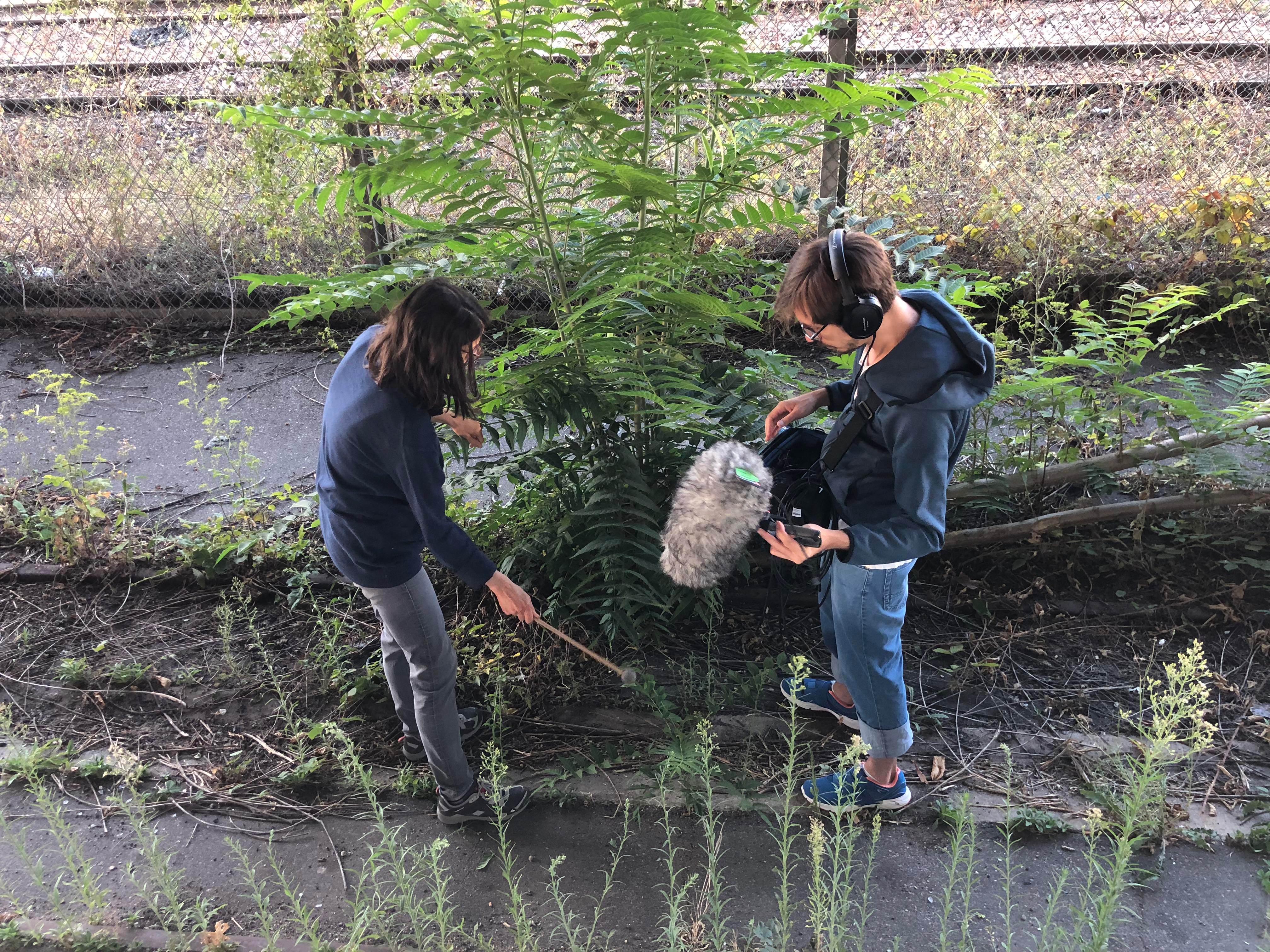 17_IMG_4458 lite.jpeg